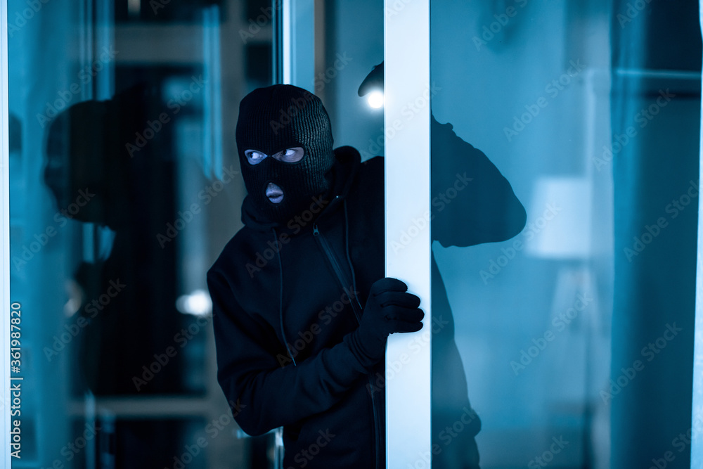 Robust Intrusion Detection
